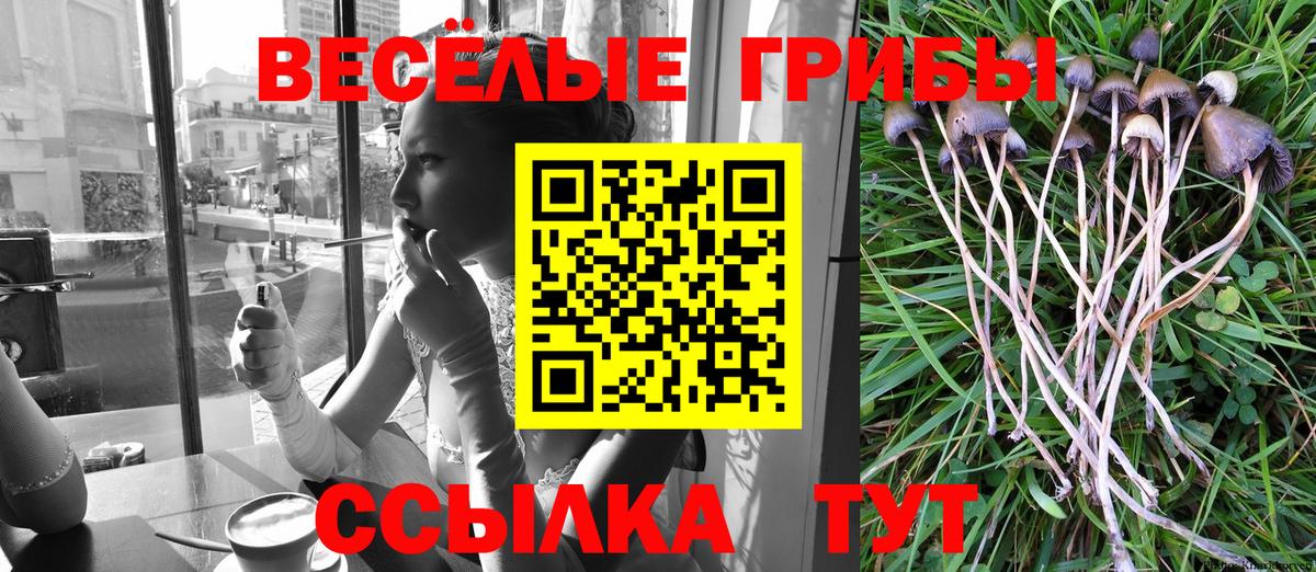 Галлюциногенные грибы MAGIC MUSHROOMS Кудымкар