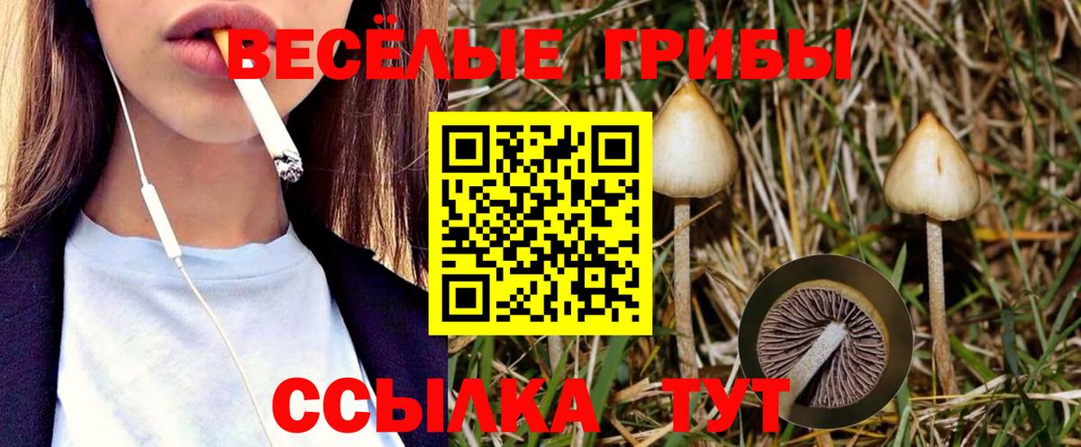 Кудымкар  Галлюциногенные грибы Cubensis  Вход с VPN  Галлюциногенные грибы Magic Shrooms 